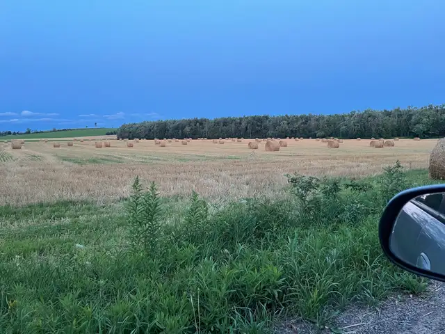 Straw Bales