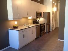 Gorgeous, character condo available in east Exchange District - Photo 2