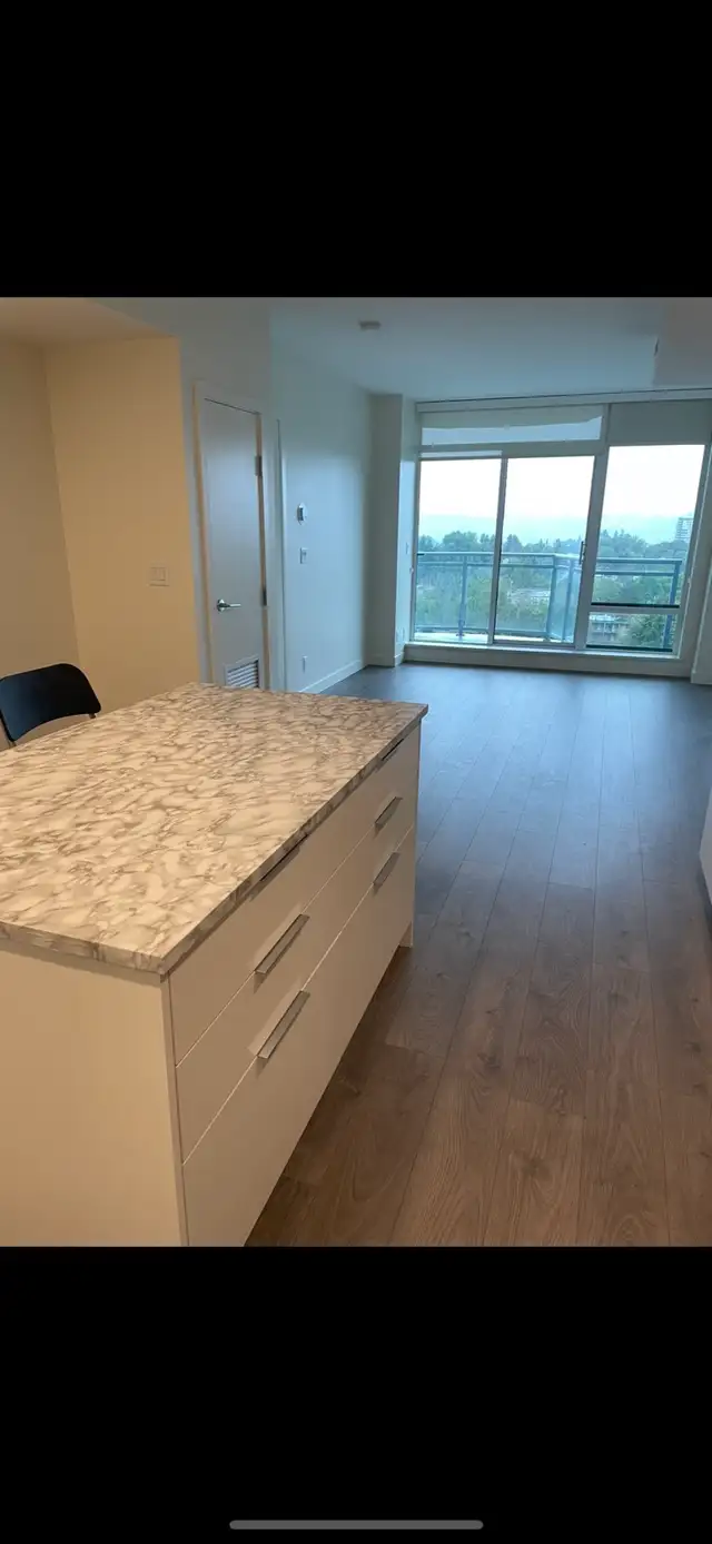 Bright & Modern 2 Bed   2 Bath Condo for Rent(Surrey SFU)