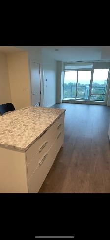 Bright & Modern 2 Bed   2 Bath Condo for Rent(Surrey SFU)