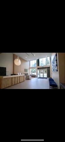 Bright & Modern 2 Bed   2 Bath Condo for Rent(Surrey SFU) - Photo 6