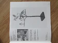 FOLK ART OF NOVA SCOTIA by Art Gallery of NSA - 1977 SC - Photo 8