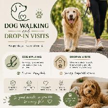 Dog walking / drop in visits