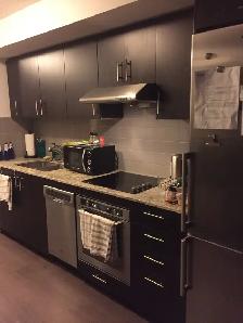 room in beautiful condo available - Photo 8