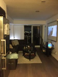 room in beautiful condo available - Photo 10