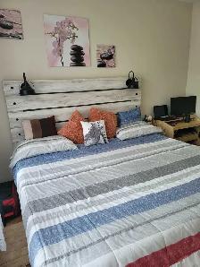 Private Bedroom with Private Washroom for Rent - Photo 2