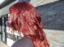 Special Hair Promo: $100-$120 Colour/Highlights (Cut Included)