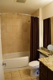 sunny and spacious 2-bdr  den 2-bath at Hudson Park - Photo 9