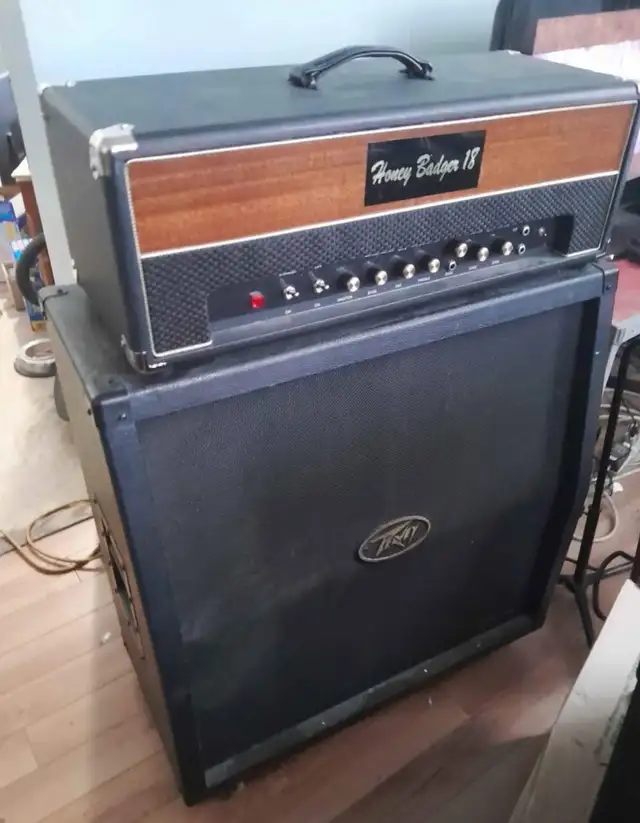Newly built 18 watt TMB head