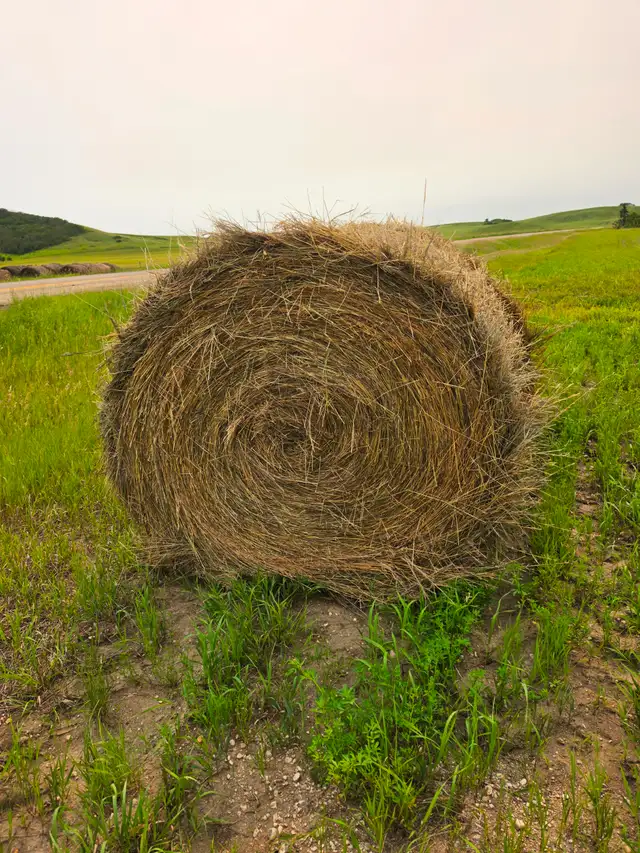 Hay bales