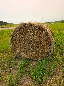 Hay bales