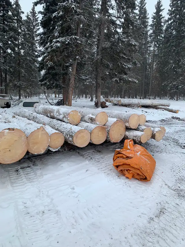 Tree clearing on acreages,