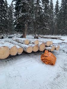 Tree clearing on acreages,