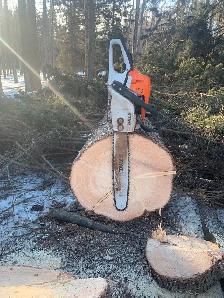 Tree clearing on acreages, - Photo 4