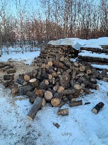Tree clearing on acreages, - Photo 5