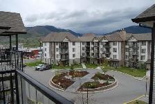 beautiful 2 bedroom, 2 bath condo , washer, dryer, dishwasher - Photo 2