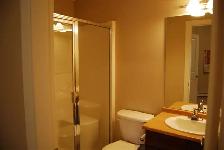 beautiful 2 bedroom, 2 bath condo , washer, dryer, dishwasher - Photo 7