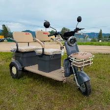 ELECTRIC TRIKE