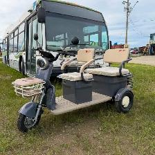 ELECTRIC TRIKE - Photo 4