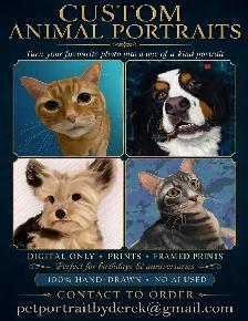 Pet Portraits