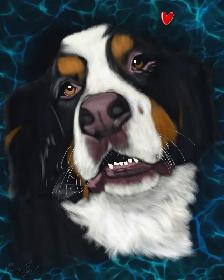 Pet Portraits - Photo 3