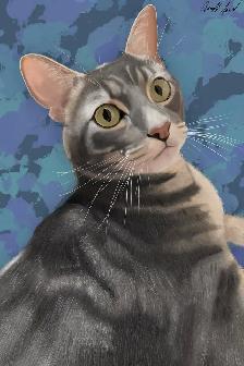 Pet Portraits - Photo 5