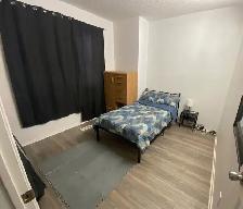 4 Rooms available to rent NEW LEASE - Photo 2