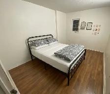 4 Rooms available to rent NEW LEASE - Photo 4
