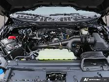 2026 Ford F-150 XLT - Photo 6