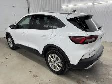 Ford Escape Active 2025 à vendre - Photo 13