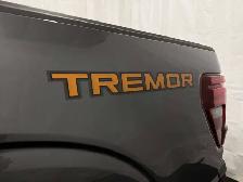 2026 Ford F-150 TREMOR | TOW/HAUL PACKAGE | B&O AUDIO | 360 CAM - Photo 9