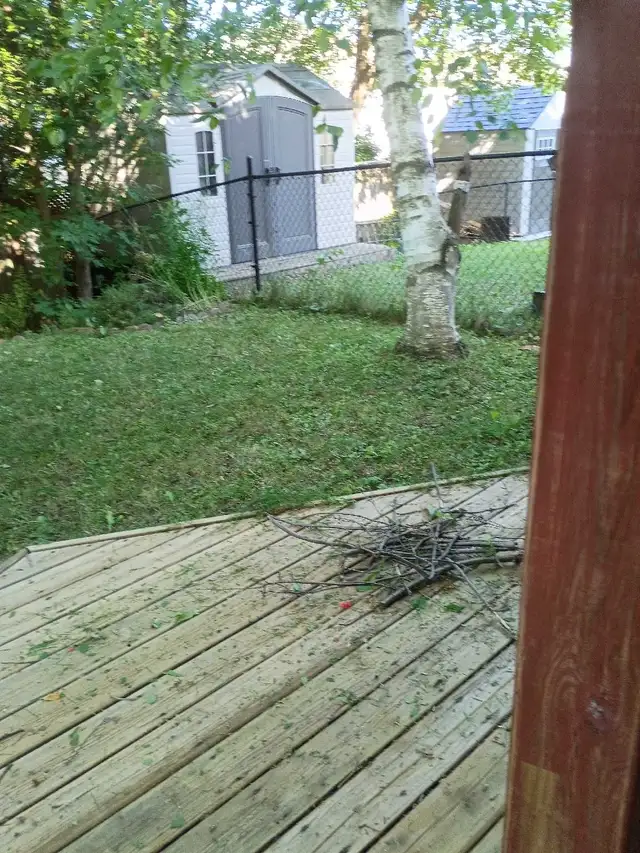 Offering lawnmowing and lawn care