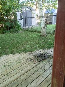 Offering lawnmowing and lawn care