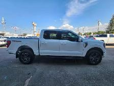 2023 Ford F-150 TREMOR 4WD SuperCrew 5.5' Box - Photo 6