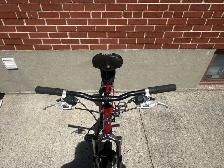 Mountain Bike - Photo 4