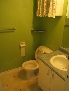 1 bd for rent in Hull,very nice,10 minutes from down town by car - Photo 3