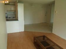 1 bd for rent in Hull,very nice,10 minutes from down town by car - Photo 5