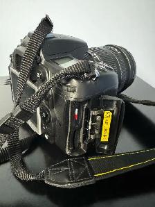 Nikon D7000 with Sigma 17-70mm lens - Photo 3