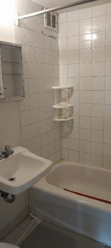BEAU GRAND 3 ½ LIBRE/COTE-DES-NEIGES/PRÈS POLY, UDM - Photo 6