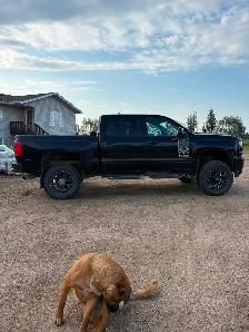 2017 Chevrolet 1500 LTZ Real Tree Edition - Photo 3