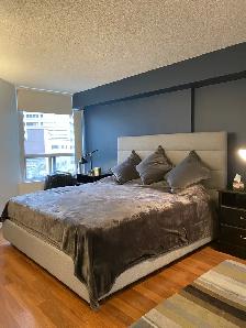 Spacious furnished 1 1 at Yonge/Wellesley - Photo 4