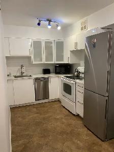 Spacious furnished 1 1 at Yonge/Wellesley - Photo 10