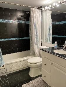 Spacious furnished 1 1 at Yonge/Wellesley - Photo 11