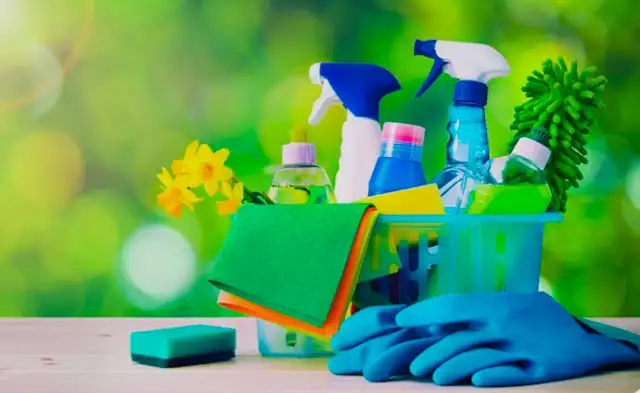 Cleaning Service