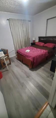 1/2 OFF 1ST MONTH 420 Friendly Room for 1 in Brampton Sept 1 - Photo 2
