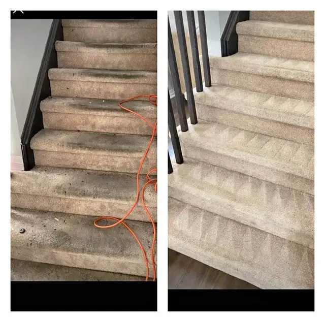 Get Your Sofa & Rug Cleaning Done With Advance System