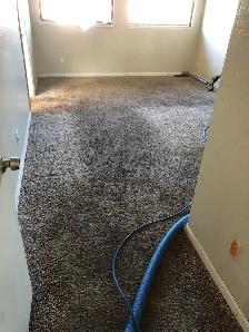 Professional Carpet & Sofa Cleaning With Advance Method - Photo 5