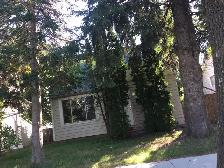 3 Bedroom house in Bonnie Doon. Large yard - Photo 10