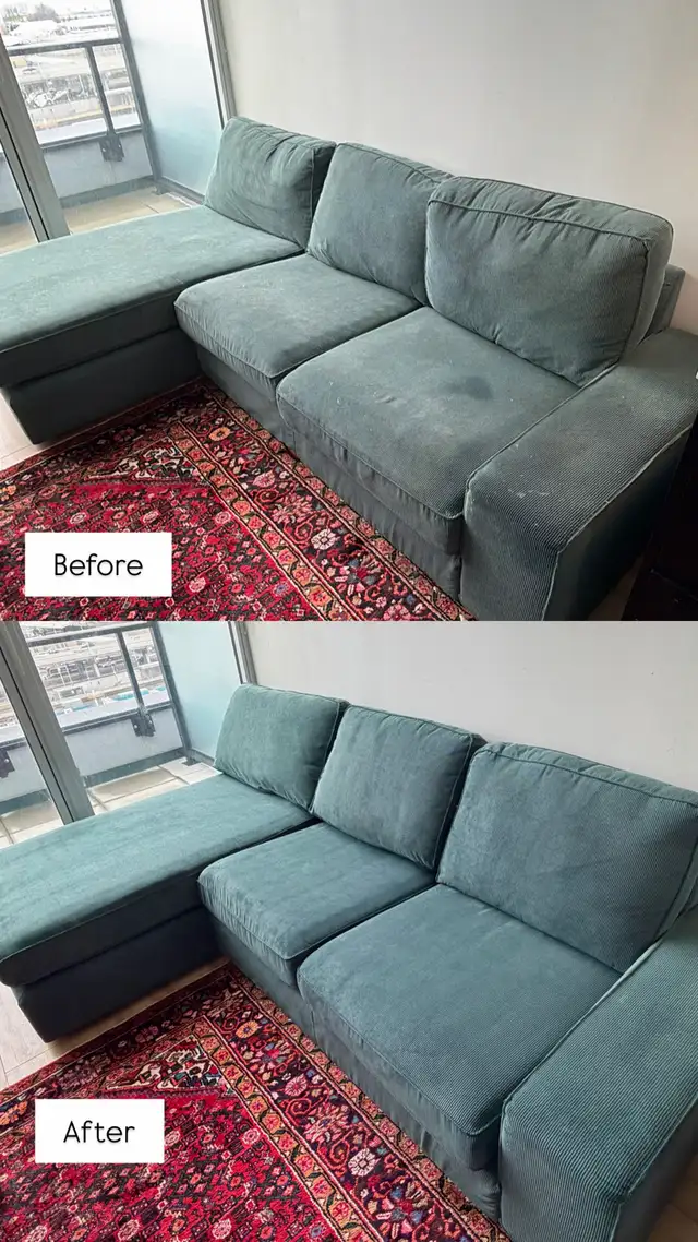 Professional Carpet & Upholstery Cleaning | Toronto & GTA
