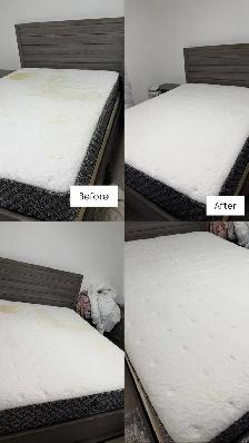 Professional Carpet & Upholstery Cleaning | Toronto & GTA - Photo 2